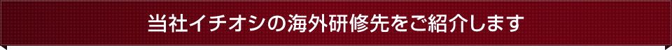 当社イチオシの海外研修先をご紹介します