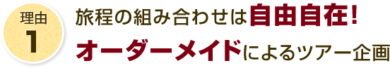 理由1 旅程の組み合わせは自由自在！オーダーメイドによるツアー企画