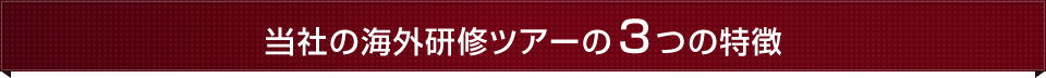 当社の海外研修ツアーの3つの特徴