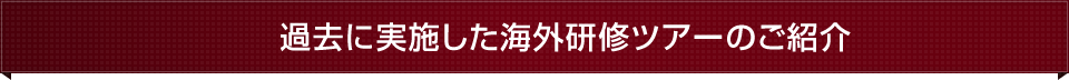 過去に実施した海外研修ツアーのご紹介