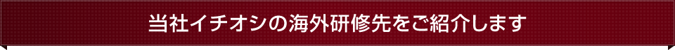 当社イチオシの海外研修先をご紹介します